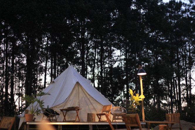 Featured image for Glamping Hotels: The Perfect Blend of Nature and Luxury