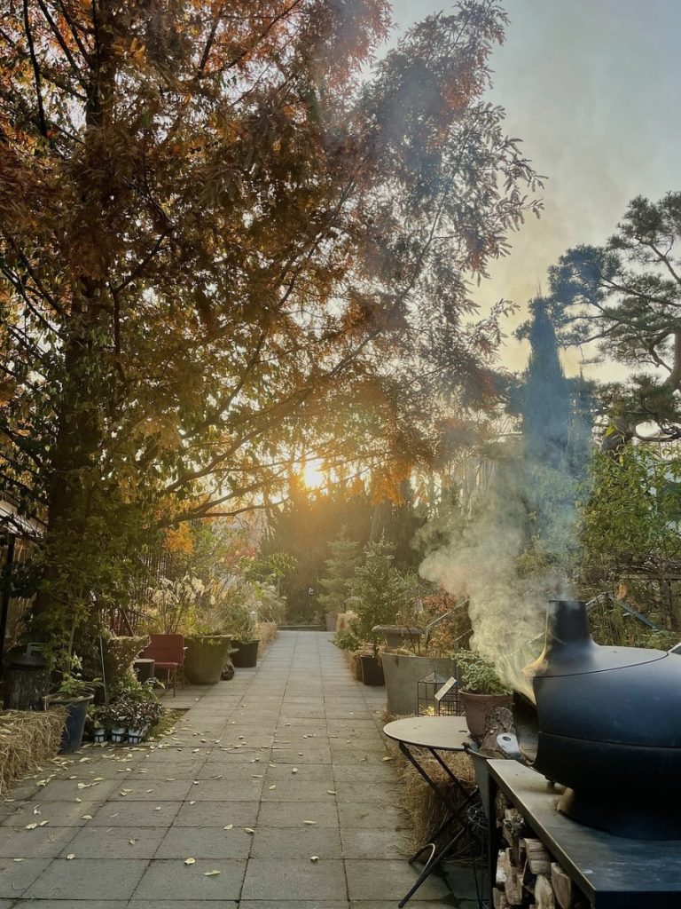 Content image for Glamping Hotels: The Perfect Blend of Nature and Luxury