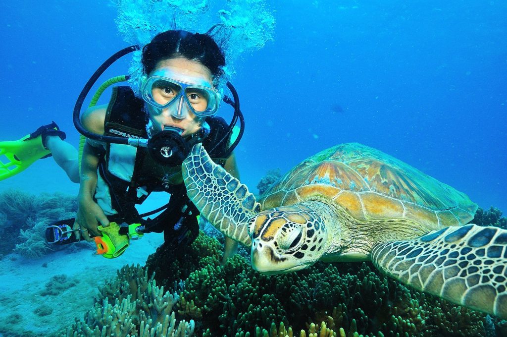 Content image for Diving in the Great Barrier Reef: Exploring the Underwater World