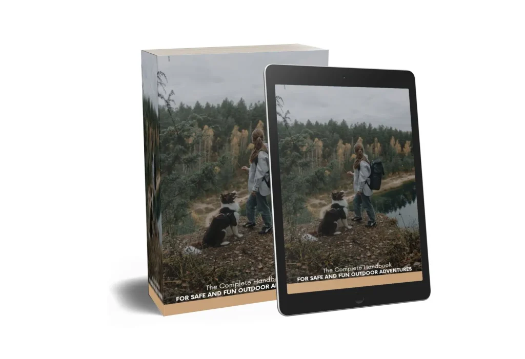 Content image for Solo Traveler's Handbook: Safe and Enjoyable Adventures