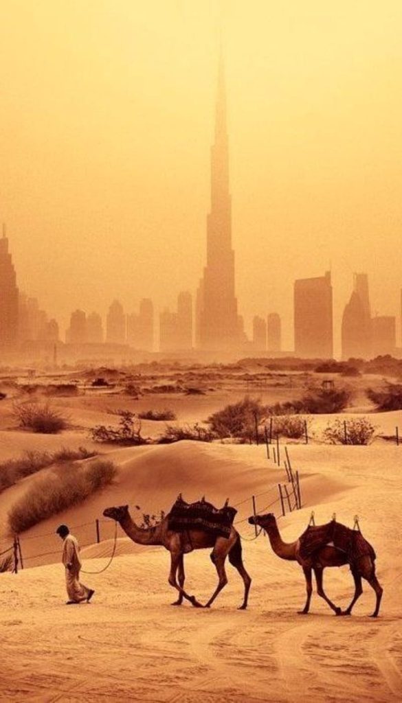 Content image for Travel Guide to the Middle East: Desert Charm and Modern Cities